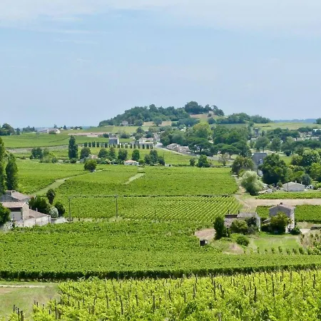 Magnifique Plain Pied Avec Piscine Villa Fronsac (Gironde)